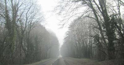 Traverser le brouillard