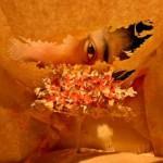 ART : Les sacs détournés de Yuken Teruya