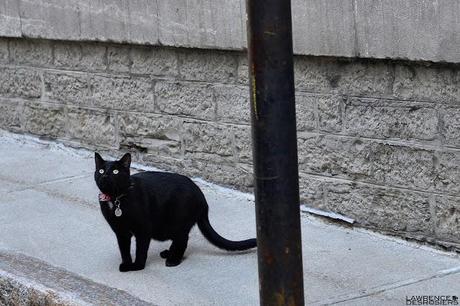 Aujourd'hui, vendredi 13...