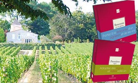 cadeau pieds de vigne