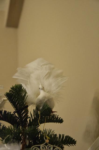 Mon beau sapin, roi de la maison Fée!