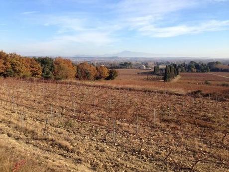 Promenade et Ventoux d'avant hiver