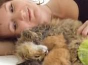 chats sont attachés leur maître