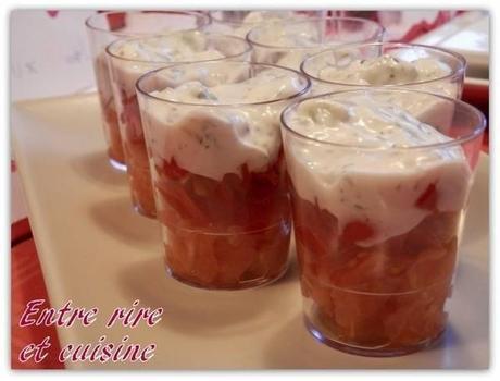 Récapitulatif festif pour les fêtes de fin d'année Verrines_tomate-tzatziki sur Imagesia