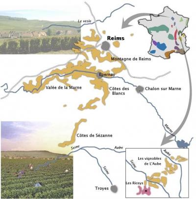 coopérative,vins,économie,commerce équitable,consommer autrement,viticulture,vigne