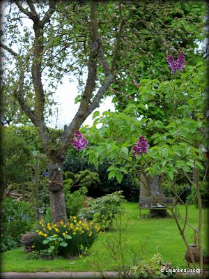 Retro de Mai au jardin...