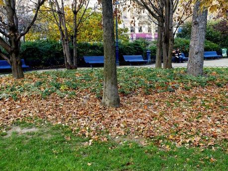 Paris, sans singe, mais presqu'en hiver ... P1120062