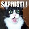sapristi !