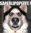 saperlipopette !