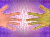 mentions légales obligatoire site Flavio Papa Techera [W2C13]