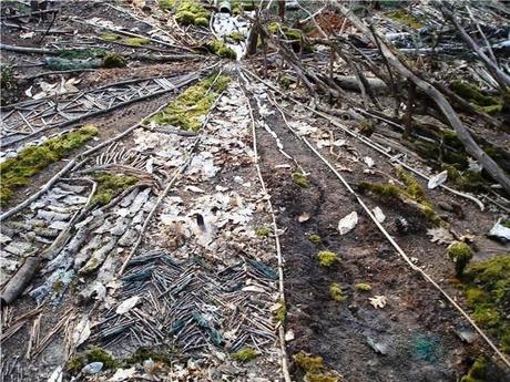 mandala-de-gilles-wurtz1