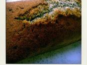 L'Avent Gourmands Cake l'amande amère pavot