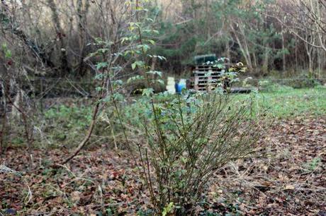 jacques cartier romi 18 déc 2013 020.jpg