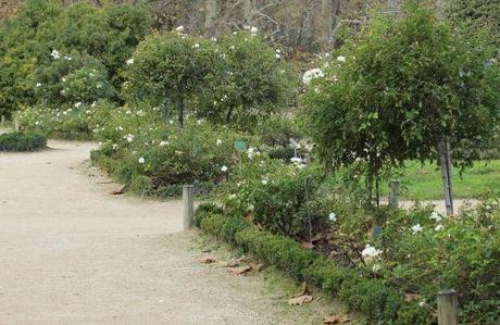 opalia 2 rec paris 1 dec 2013 116.jpg