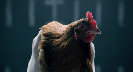 jaguar chicken vavavoom 1