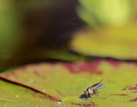 séance d' étirements