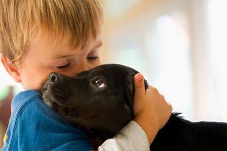 Cela fait longtemps qu’on le sait, avoir un chien dans l’enfance diminue le risque d’allergie et d’asthme. Dans cette nouvelle étude, des chercheurs viennent de mettre le doigt sur la raison : les bactéries intestinales. © o5com, Flickr, cc by 2.0