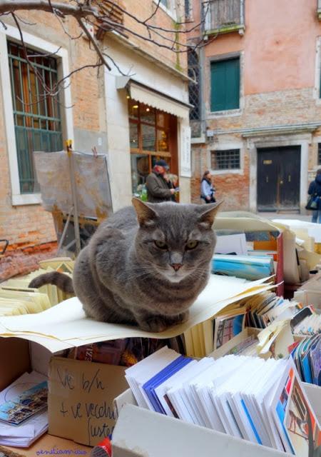 Entre rêve et réalité. La librairie Acqua Alta à Venise
