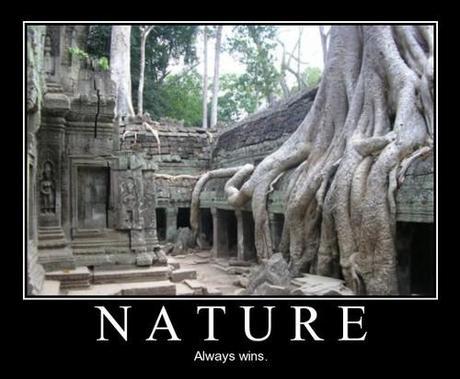 nature always win