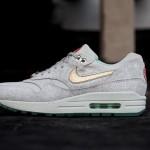nike-wmns-air-max-1-year-of-the-horse-1