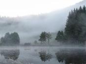 Bleu mouillé bleu vibrant l'aurore