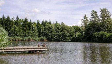 Location d'étang avec chalet