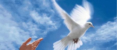 La liberté est indivisible liberté