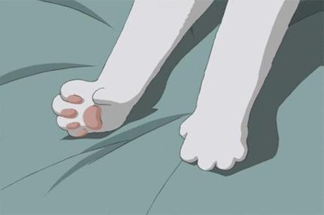gif pattes chat reve