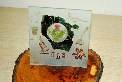 Qui s'y frotte s'y pique (295)