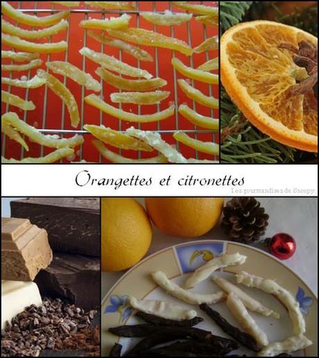 Orangettes-et-citronettes.jpg