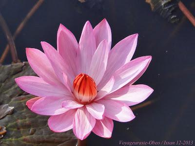 Photos d'Issan balade de fin d'année