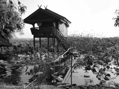 Photos d'Issan balade de fin d'année