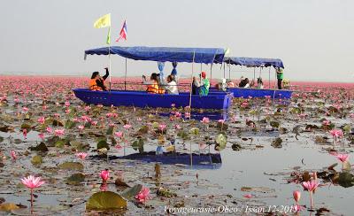 Photos d'Issan balade de fin d'année