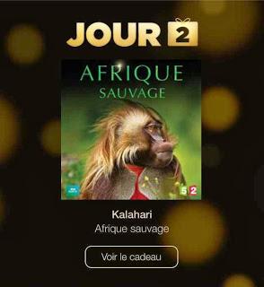 12 jours de cadeaux Apple, liens vers les cadeaux sans avoir IOS7