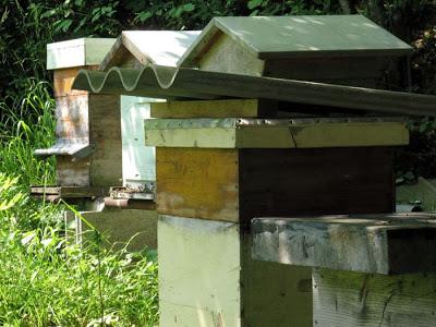 Se promener avec des amis, aux confins de la Meurthe et Moselle, des Vosges et de la Meuse par une belle journée d'été