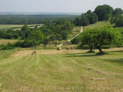 Se promener avec des amis, aux confins de la Meurthe et Moselle, des Vosges et de la Meuse par une belle journée d'été