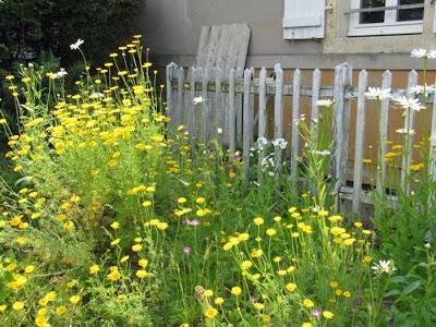 Se promener avec des amis, aux confins de la Meurthe et Moselle, des Vosges et de la Meuse par une belle journée d'été