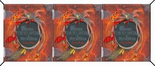 SPONSORS du GpP Bookenstock 2013 : Révélation 10