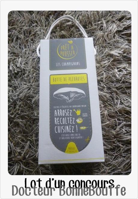 Quand la chance me sourit, je dis merci Kit champignons