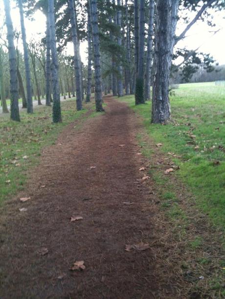 Détails du dimanche