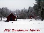 Logo Scandinavie blanche