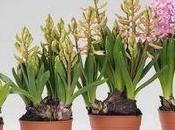 Rétrospective 2013 blog