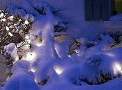 bien jolies déco extérieures