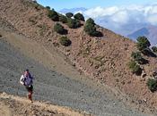 UTAT: ouverture inscriptions janvier heures!