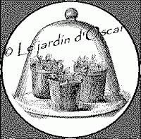 Seeds of love 2014...