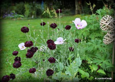 Seeds of love 2014...