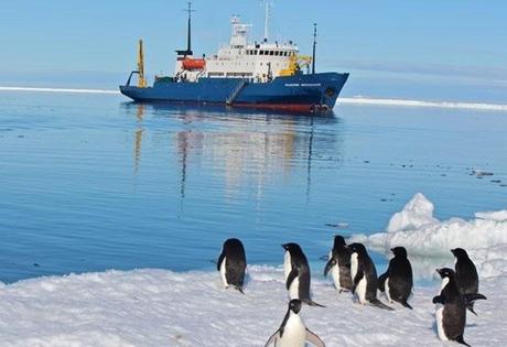 Expédition Antarctique Australienne 1
