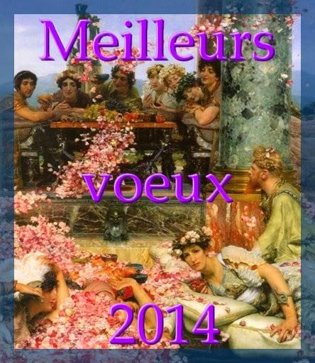 Meilleurs vœux pour 2014