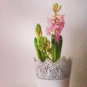 Une année se termine… Et une autre commence !