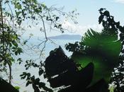 Voyage vous emmène découverte faune flore Guyane